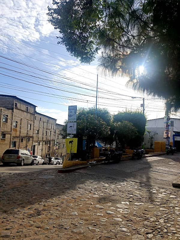 El palomar - Image 1