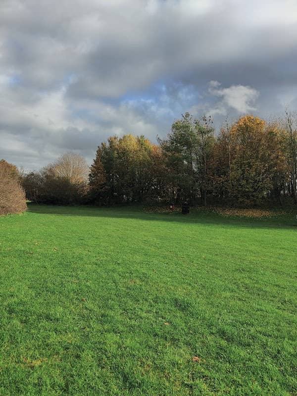 Manston Park - Image 1