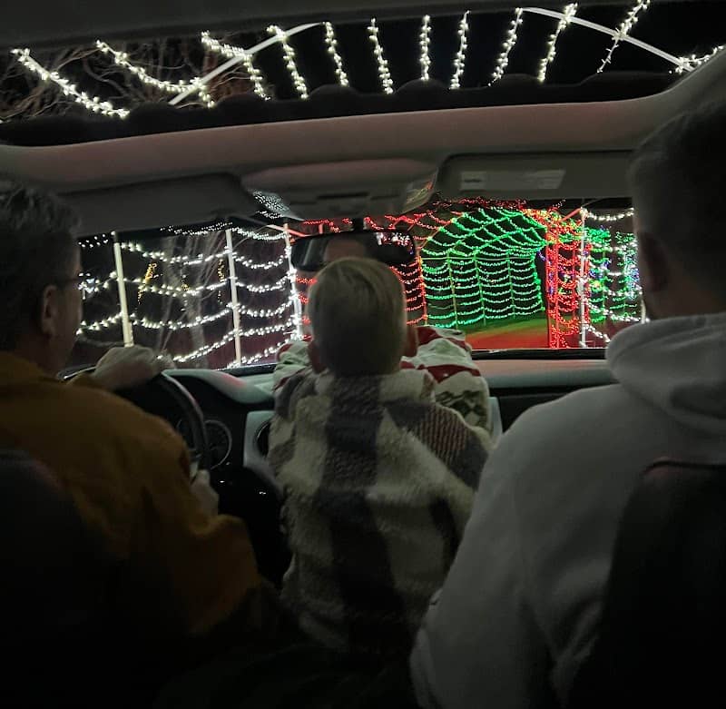Northern Lights Christmas Light Park - Image 2
