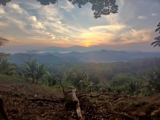 winter coconut farm & campsite - Image 2