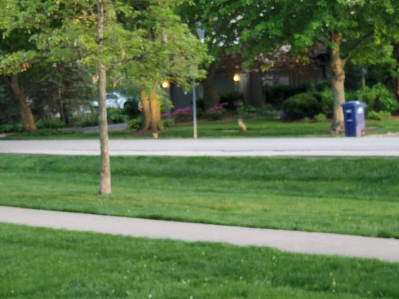 Hosek Park - Image 3