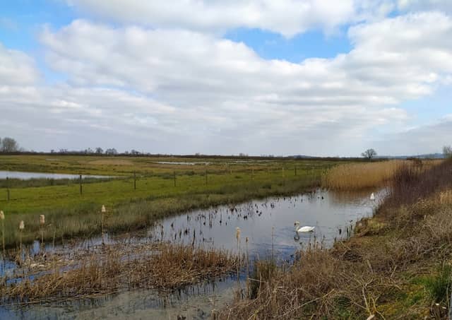 RSPB Otmoor - Image 1