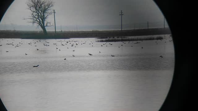 Mendota Wildlife Area Headquarters - Image 1