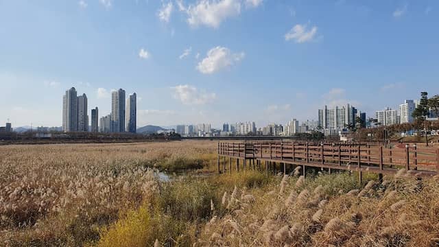 영천강변공원 - Image 1