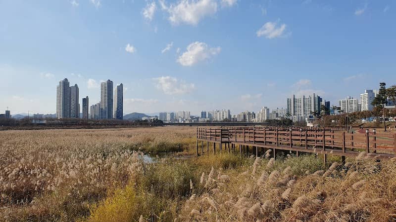 영천강변공원 - Image 1