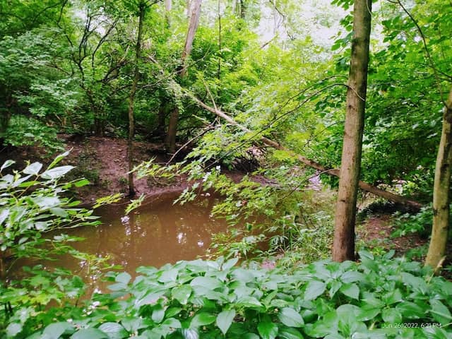 Rivers Edge Park - Image 1