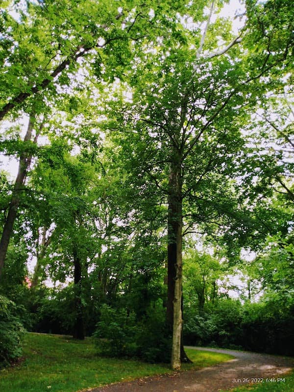 Rivers Edge Park - Image 2