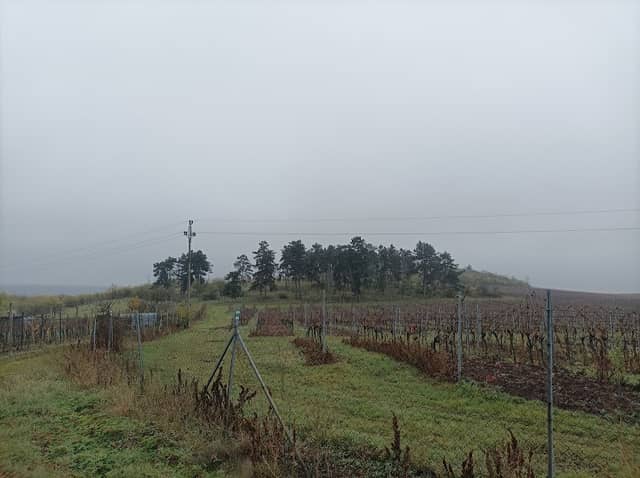 Miroslavske kopce - Image 1