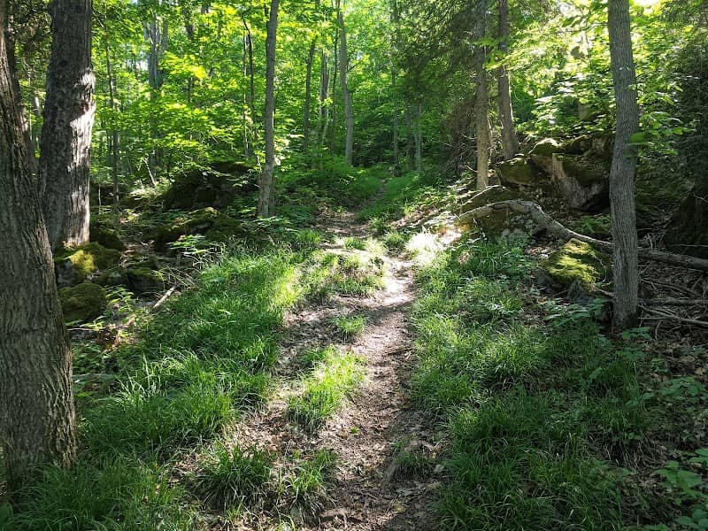Black's Park - Image 2