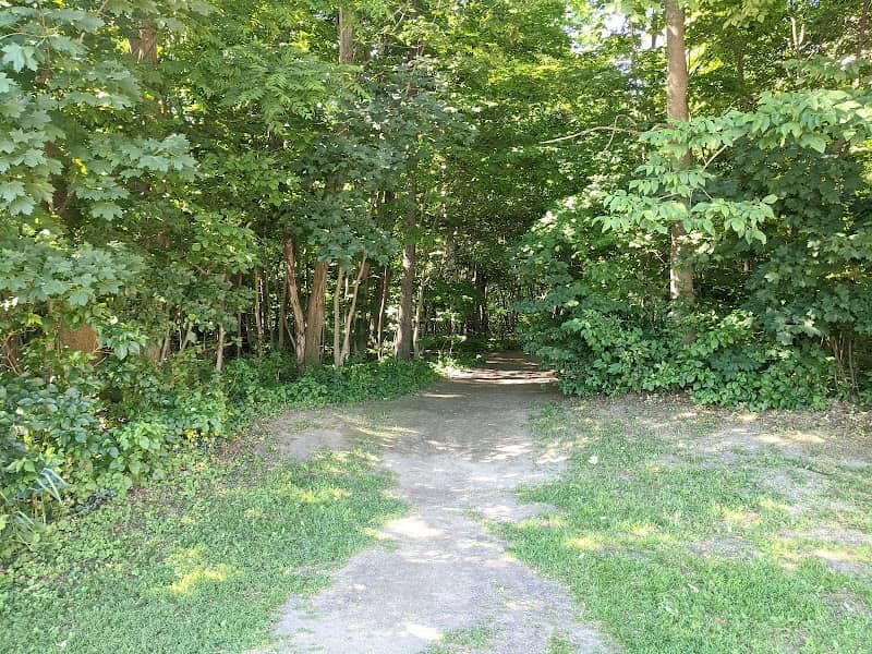 Black's Park - Image 1