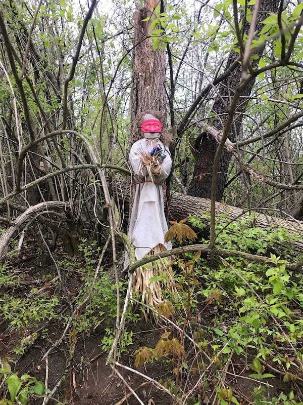 Lady of the woods - Image 1