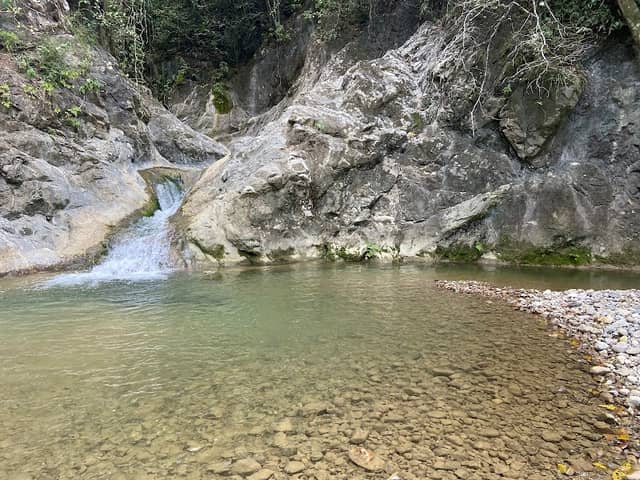 salto del papayo - Image 1