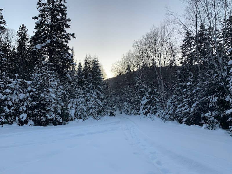 Parking lot, Perreault lake - Image 1