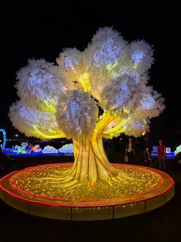 Magical Winter Lights - Houston - Image 1