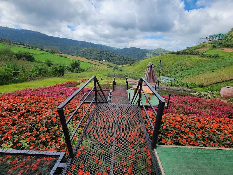 สวนดอกไม้ริมทาง - Image 1