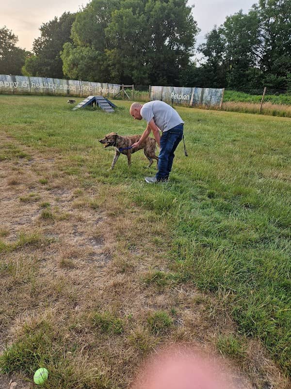Petplan Dog Adventure Park - Image 1