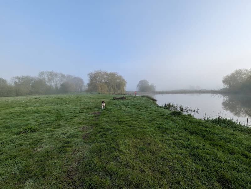 Petplan Dog Adventure Park - Image 2