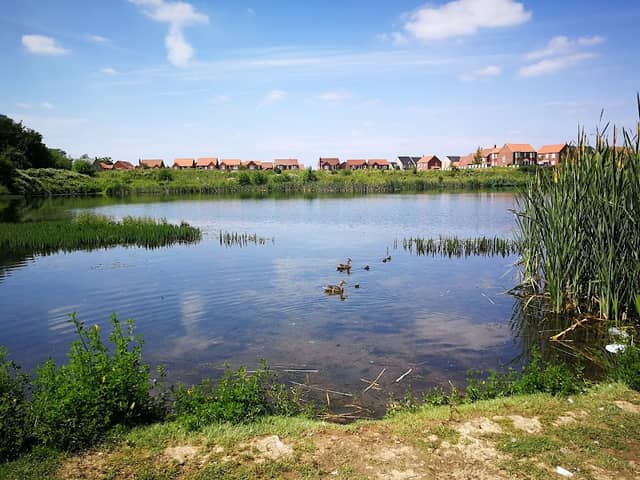 Lakeside Nature Reserve - Image 1