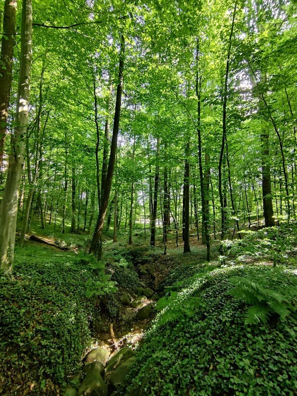 Schlosspark Agathenburg - Image 1