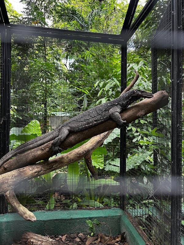 Negros Forest Park - Image 1