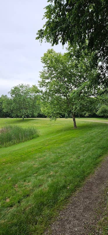 Palm's Pond - Image 1