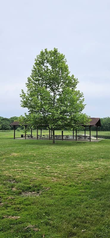 Palm's Pond - Image 2