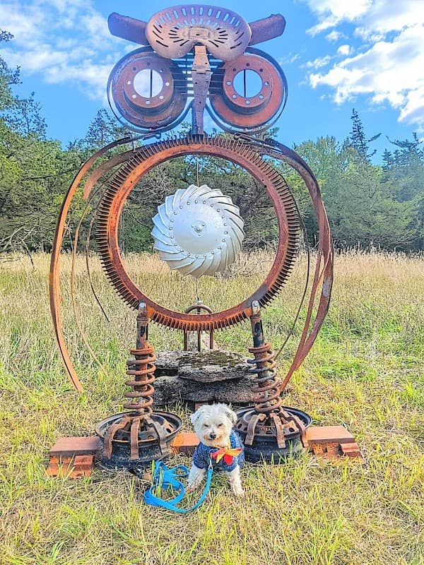 Topsy Trails- The Owl - Image 1
