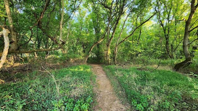 Black Walnut Bottom Trail - Image 2