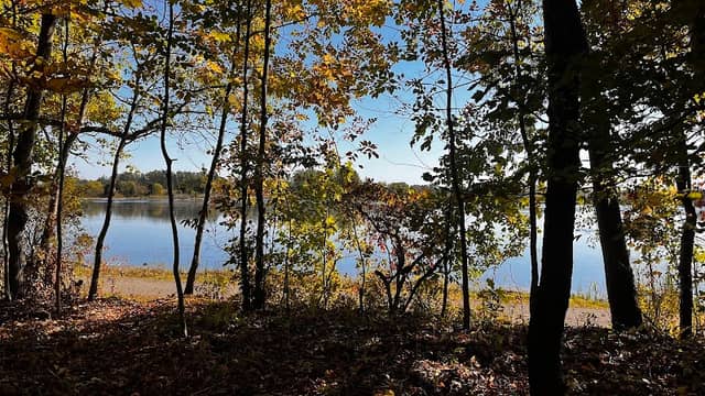 Cunningham Connector Preserve - Image 1
