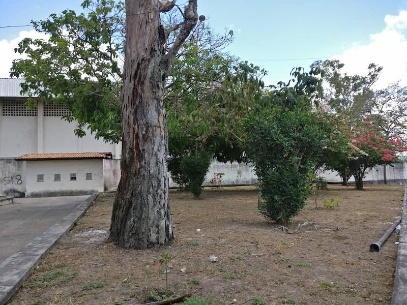 Praça do Miltão - Image 1