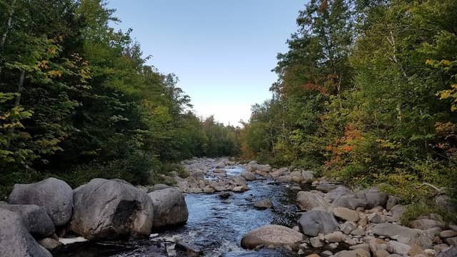 AT Campsite - Image 1