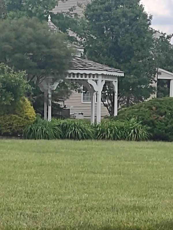 Kraus Square Gazebo - Image 2