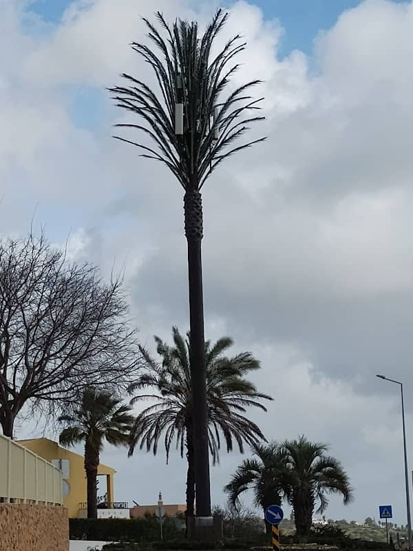 Palm Tree Phone Tower - Image 2