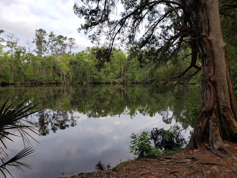 Shell Bluff - Image 2
