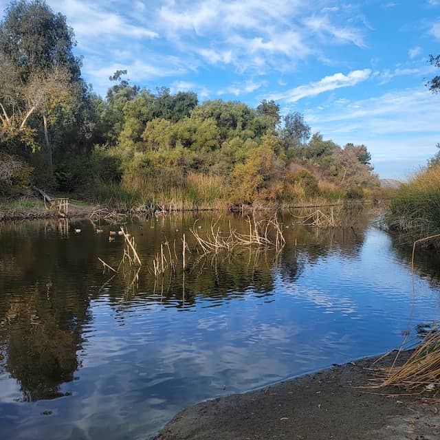 Jack's Pond Park - Image 2