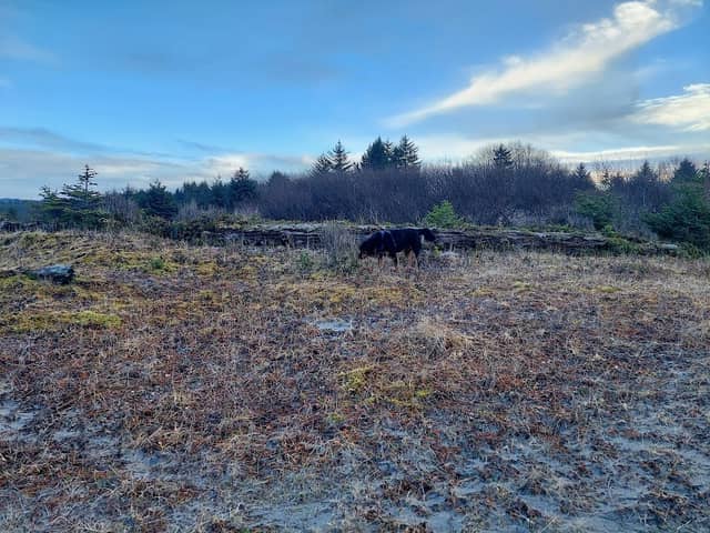 Ops Beach - Image 1
