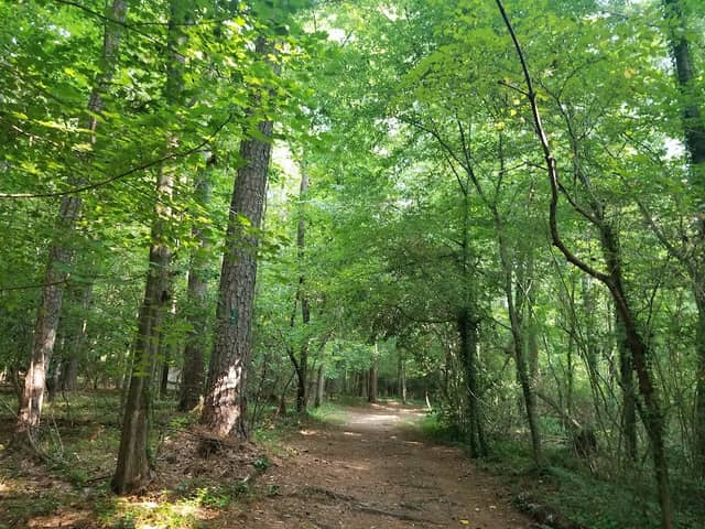 Cottonwood Trail in South Carolina - Image 2