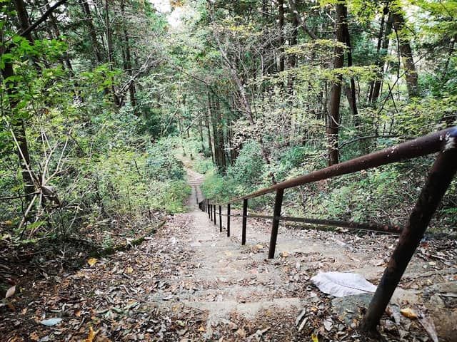 Atago Shrine Stairs - Image 2