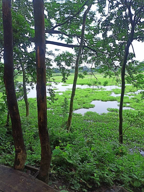 Abhay view point - Image 1