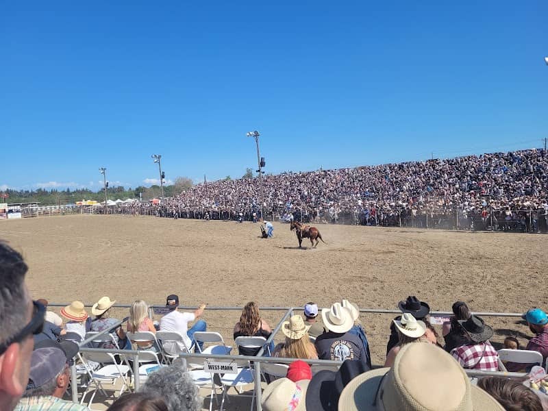 Oakdale Rodeo Grounds - Image 2