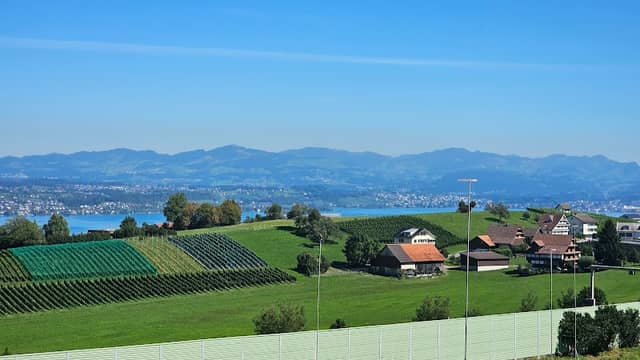 Weinberg Alte Garde - Image 2
