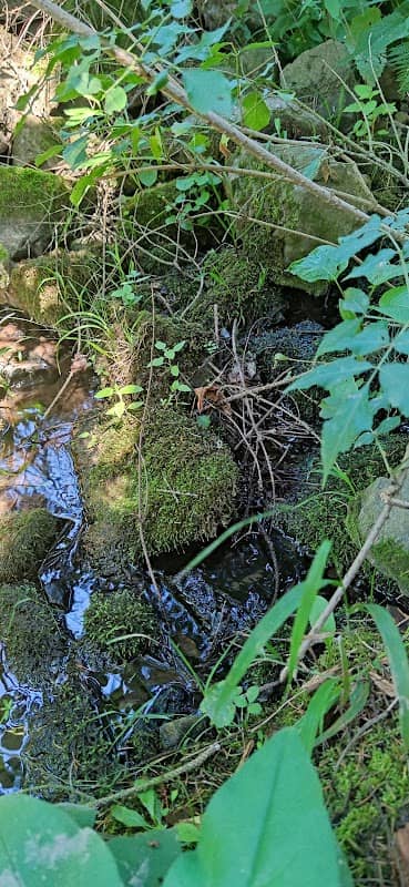 Altánek - Image 1