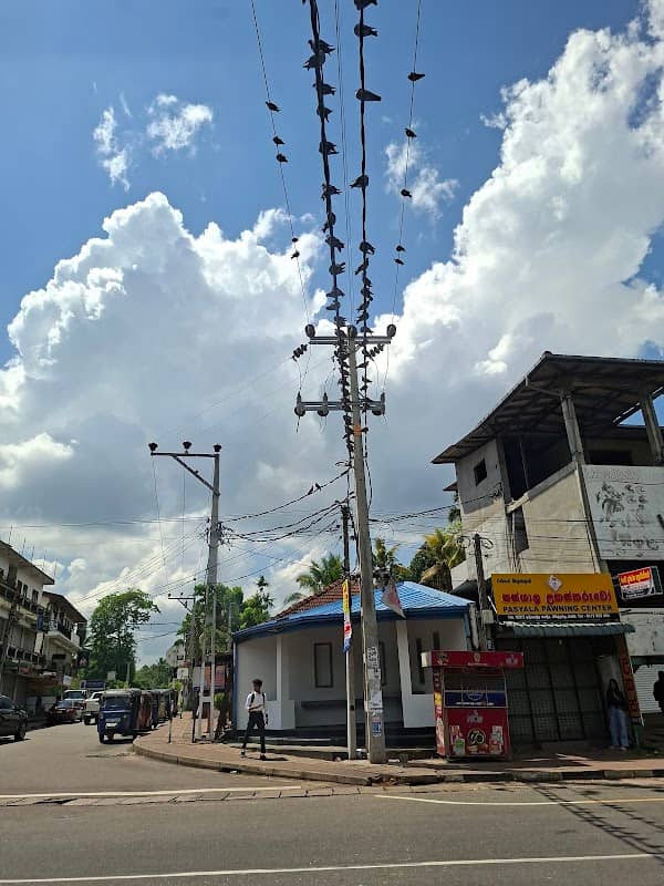 Pigeon Junction - Image 1