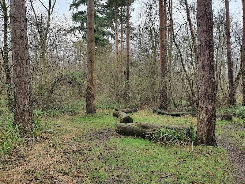 Broaks Wood - Image 1