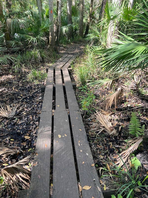 Casey’s Bridge - Image 1