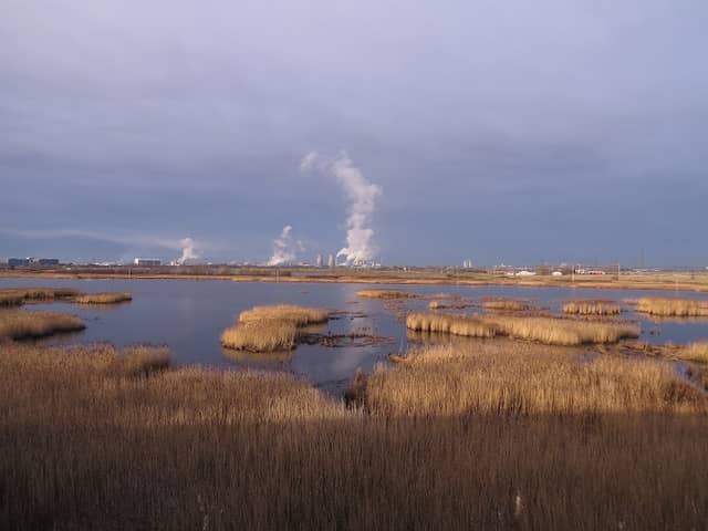 Dorman Pool Nature Reserve - Image 2