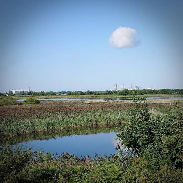 Dorman Pool Nature Reserve - Image 1