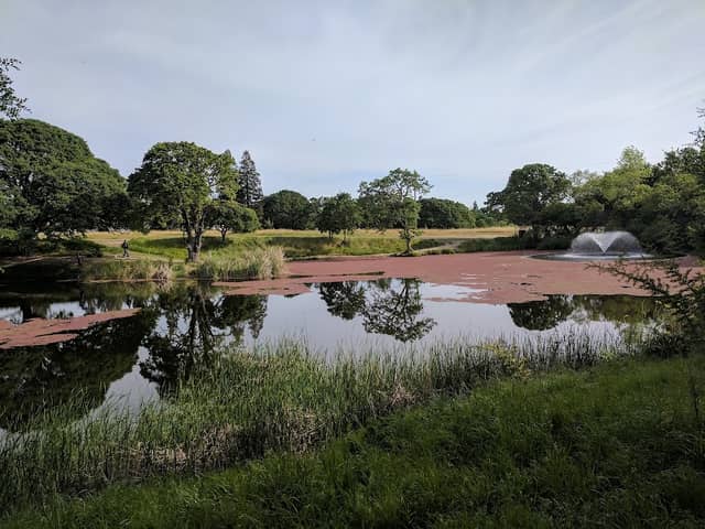 Hidden Lakes Park - Image 2