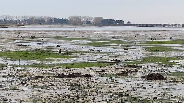 Conigar Point - Image 2