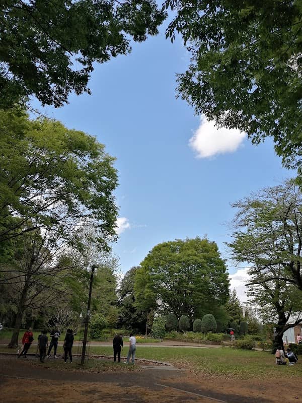 Suwanomori Park - Image 1